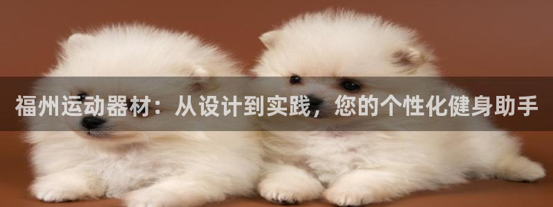 熊猫体育官网下载招商电话号码是多少啊:福州运动器材:从设计到