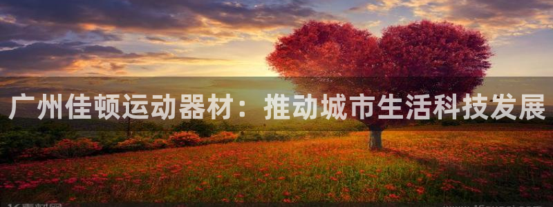 熊猫体育新能源:广州佳顿运动器材:推动城市生活科技发展
