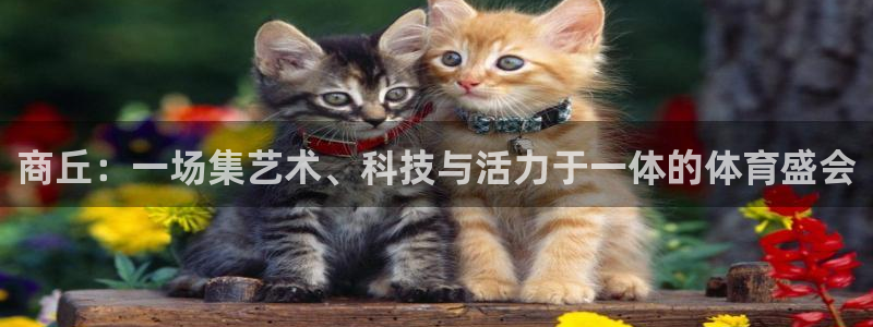 熊猫体育官网下载平台是正规平台吗:商丘:一场集艺术、科技与活