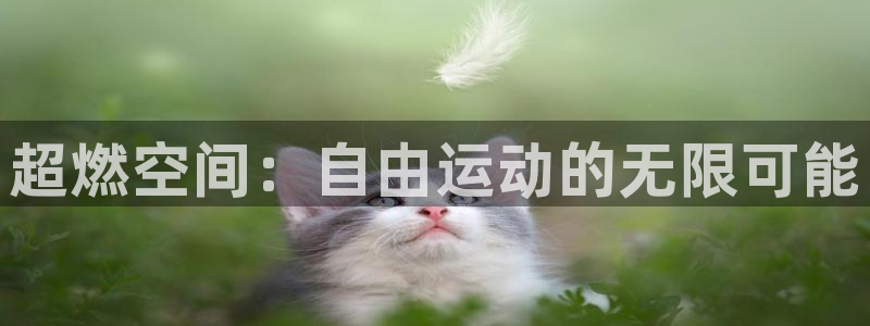 熊猫体育官网下载平台是正规平台吗:超燃空间:自由运动的无限可