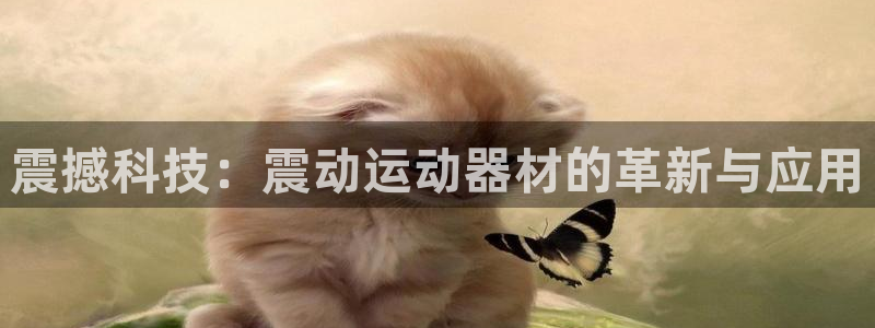 熊猫体育官网下载联系电话:震撼科技:震动运动器材的革新与应用